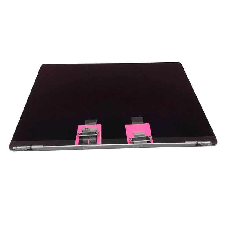 Perché gli schermi LCD Pro A2442 da 14
