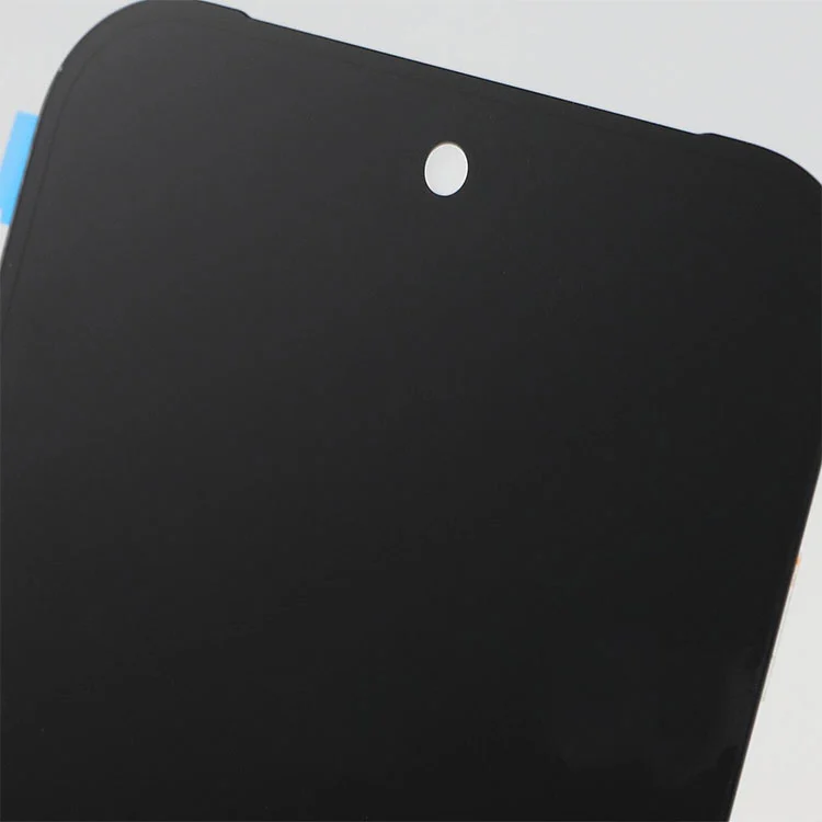 Schermi LCD Pixel 9 Pro